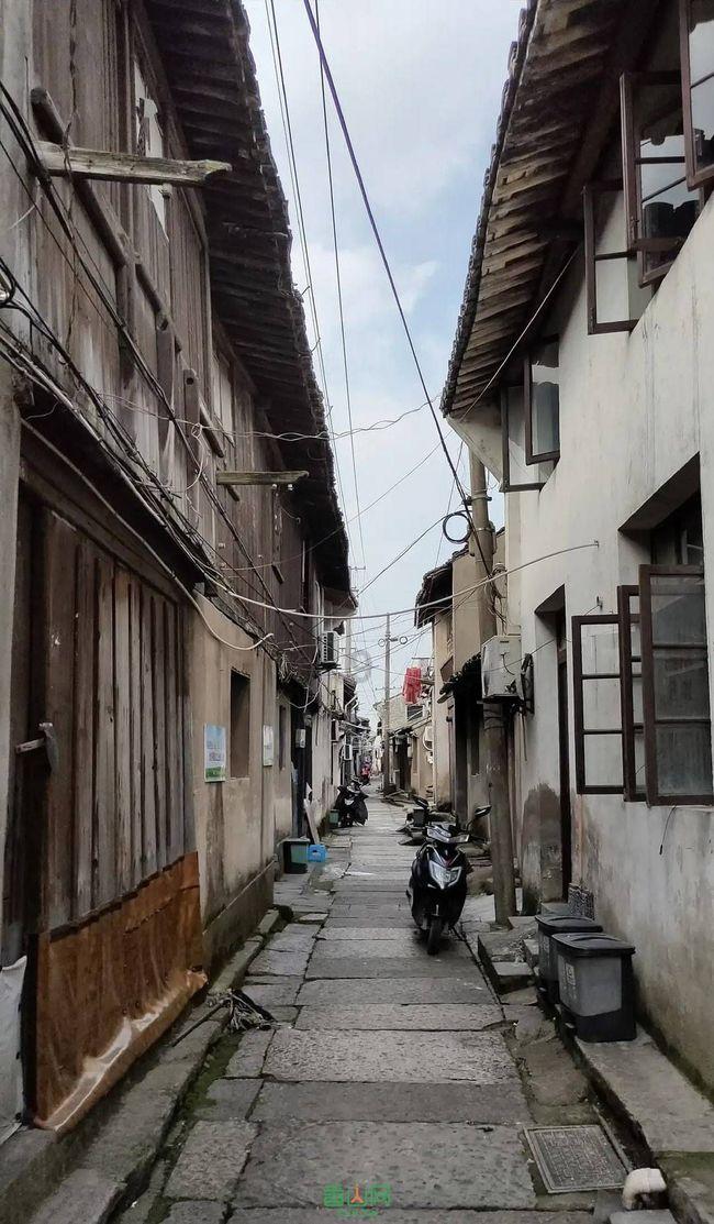 深度交流,来韭菜肉海米饺子馅的做法寻找答案